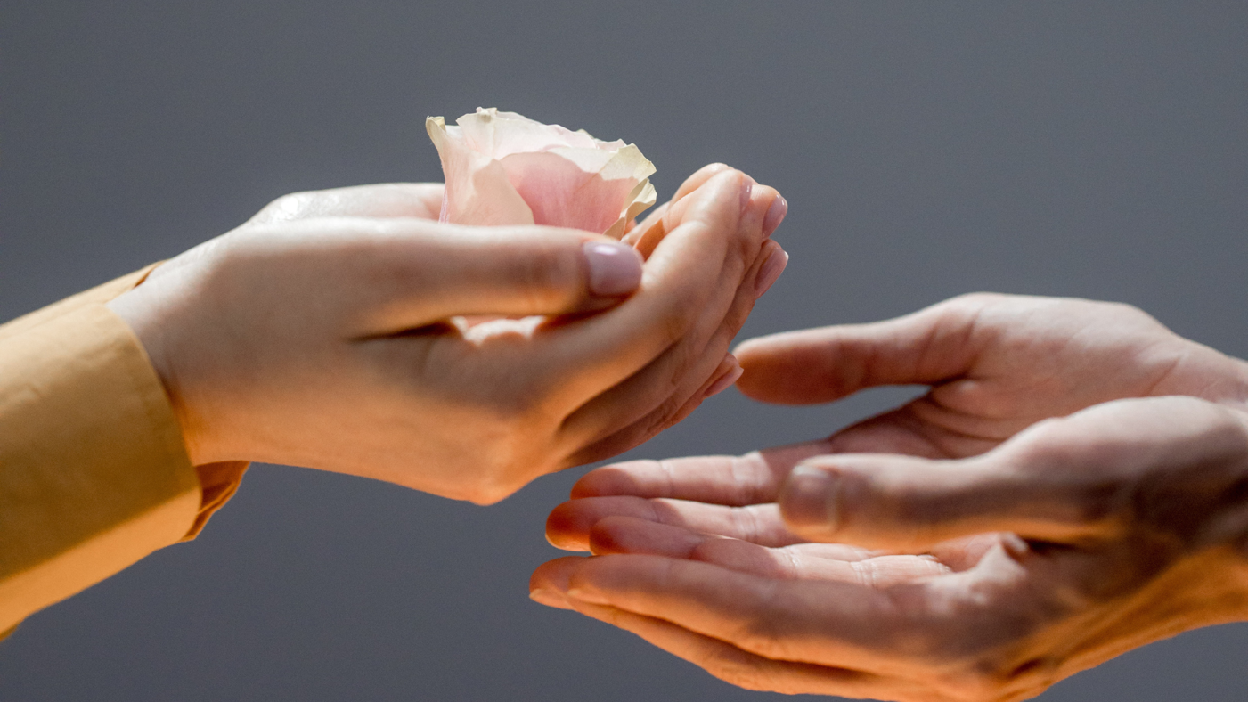 two hands, one passing a flower to the other